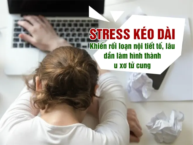 Stress-keo-dai-khien-roi-loan-noi-tiet-to-lau-dan-lam-hinh-thanh-u-xo-tu-cung.webp